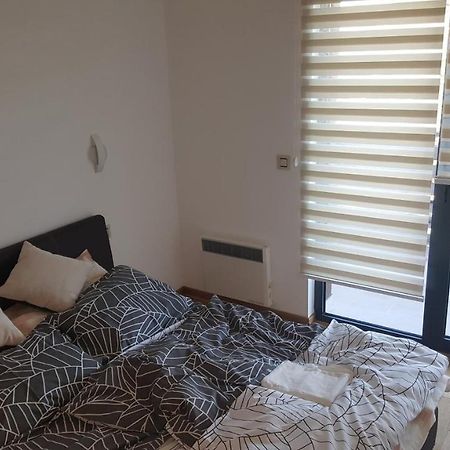 Apartman Mir ズラティボール エクステリア 写真